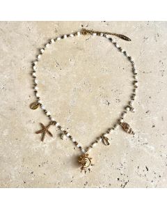 She Sells Seashells Necklace - Gold