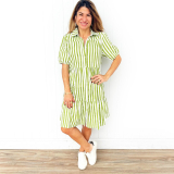 "Ellie" Shirt Dress Green and White
