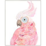 Pink Galah 60 x 80cm