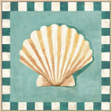 Checkered Shell 80 x 80cm