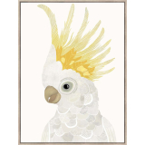 Cockatoo Geo 75x100cm