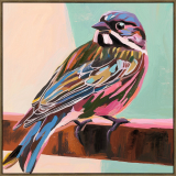 Rainbow bird 100x100cm