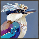 Kookaburra Charcoal 100x100cm