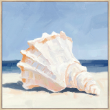 Beach Shell 1 -80x80cm