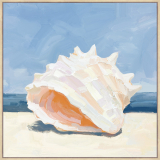 Beach Shell 2 -80x80cm