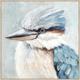 Kookaburra 100x100cm
