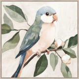 Peach parrot right 80x80cm