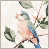 Peach parrot Left 80x80cm