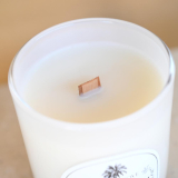 Palm Cove Candle - Mooloolaba Mist