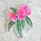 Gum Nut Artist Brooch - Acrylic