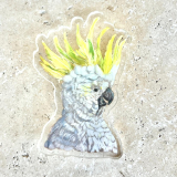 Cockatoo Artist Brooch - Acrylic