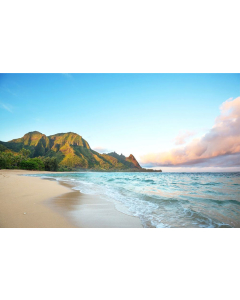 Beach Kauai Canvas Print