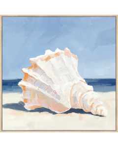 Beach Shell 1 -80x80cm