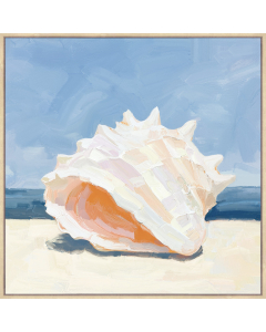 Beach Shell 2 -80x80cm