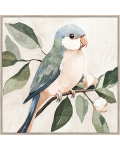 Peach parrot right 80x80cm