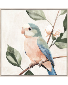 Peach parrot Left 80x80cm